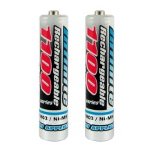 2 pz Batterie ricaricabili NiMH AAA 1100 mAh 1,2V