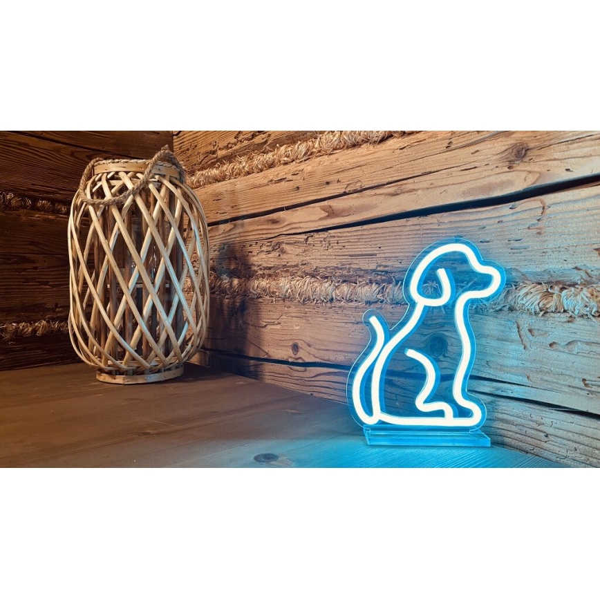 2Kids Toys - Decorazione da tavolo LED al neon LED/5W/USB cane