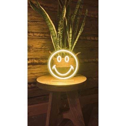 2Kids Toys - Lampada neon da tavolo a LED 5W/USB - faccina sorridente