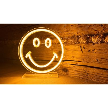 2Kids Toys - Lampada neon da tavolo a LED 5W/USB - faccina sorridente