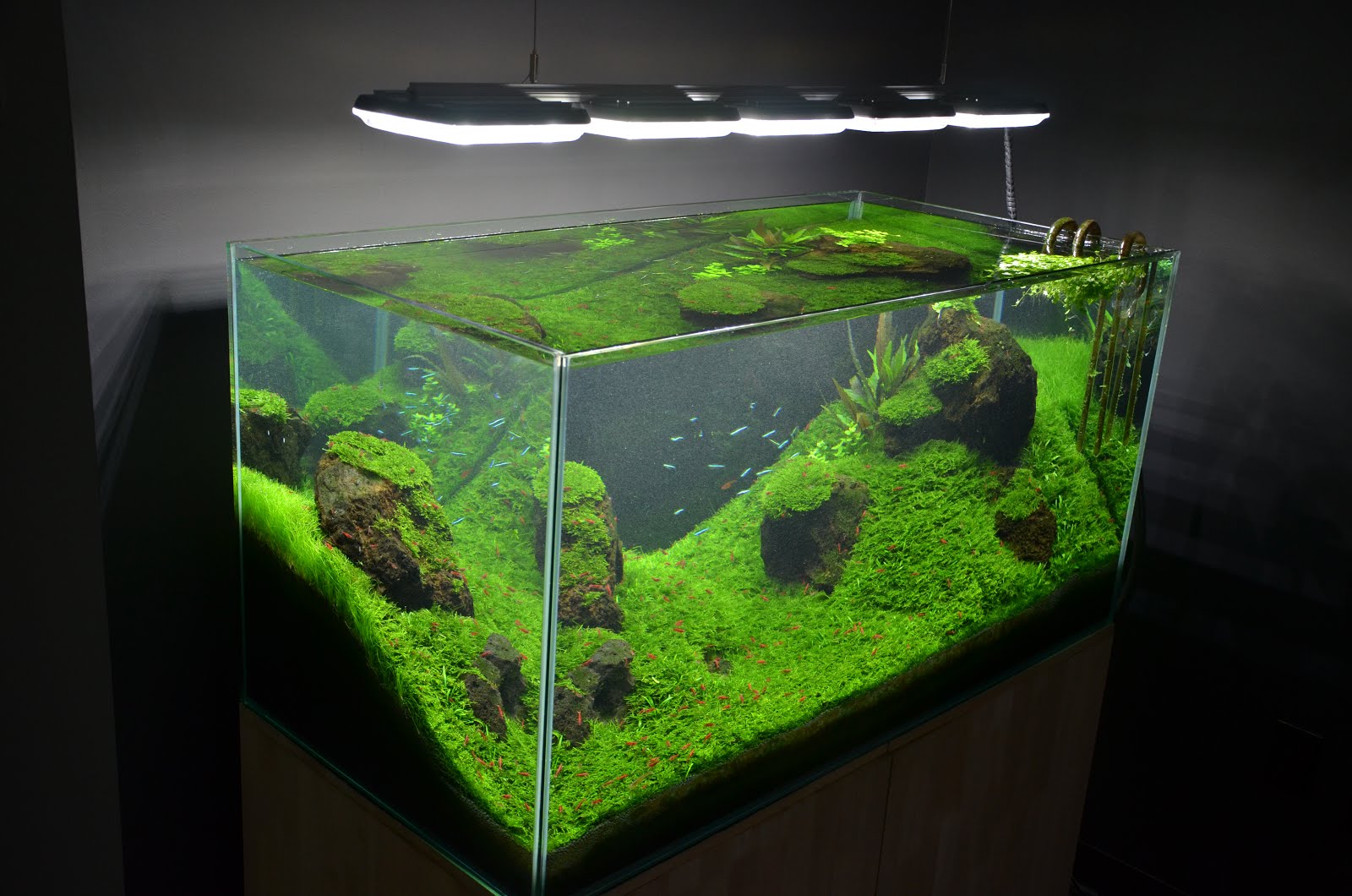 Lampada led per acquario 100 cm.