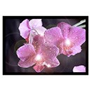 Quadri LED decorativi