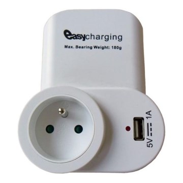 Adattatore di ricarica USB + presa