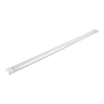 Aigostar - Apparecchio LED tipo fluorescente LED/40W/230V 4000K 120 cm