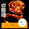 Aigostar - Catena LED natalizia 100xLED/3xAA 10 m bianco caldo rosso