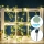 Aigostar - Catena LED solare 100xLED/12m IP65 bianco caldo eucalipto