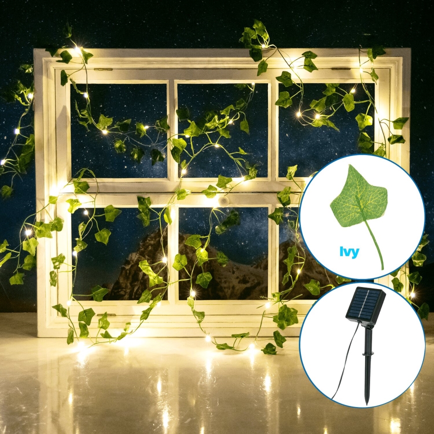 Aigostar - Catena LED solare 100xLED/12m IP65 bianco caldo ivy