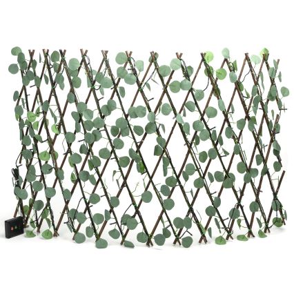 Aigostar - Catena LED solare 102xLED/2x0,7m IP65 bianco caldo eucalipto