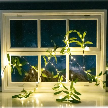 Aigostar - Catena LED solare 60xLED/4m IP65 bianco caldo oliva