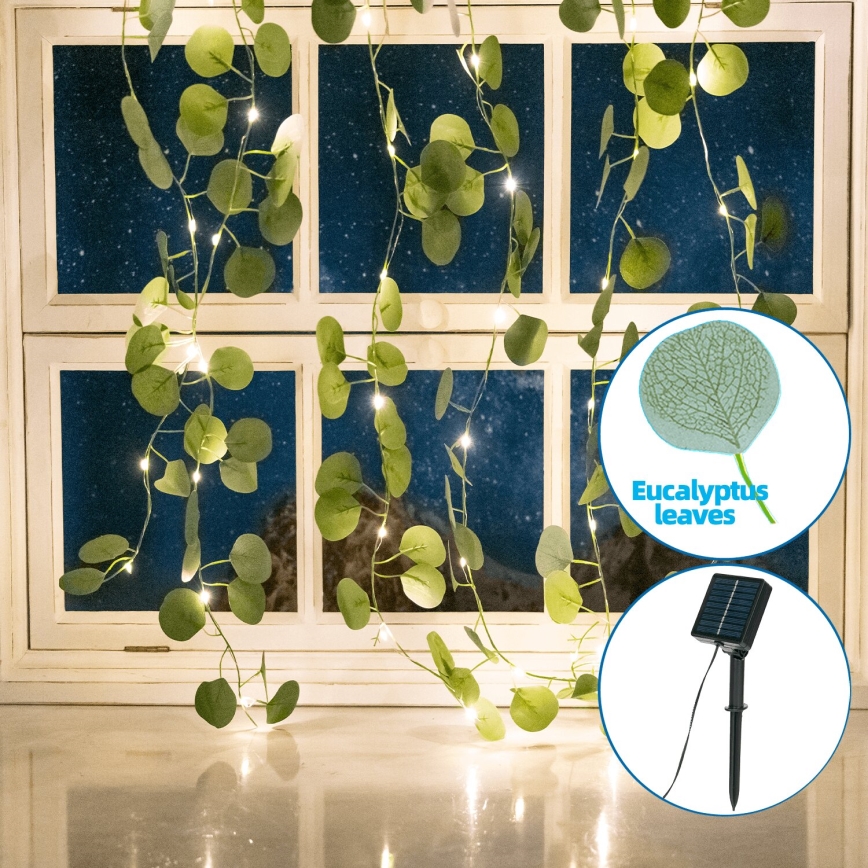 Aigostar - Catena LED solare 70xLED/4x1m IP65 bianco caldo eucalipto