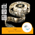 Aigostar - Catena luminosa di Natale LED 50xLED/3xAA 5 m bianco caldo argento