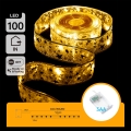 Aigostar - Catena luminosa natalizia a LED 100xLED/3xAA 10 m, luce bianca calda, filo dorato