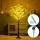 Aigostar - Decorazione solare a LED 30xLED/2,6m IP65 bianco caldo oliva