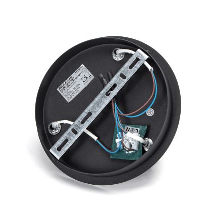 Aigostar - Faretto orientabile 3xGU10/60W/230V nero