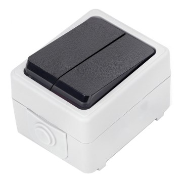 Aigostar - Interruttore domestico a 2 pulsanti per corrente alternata IP54