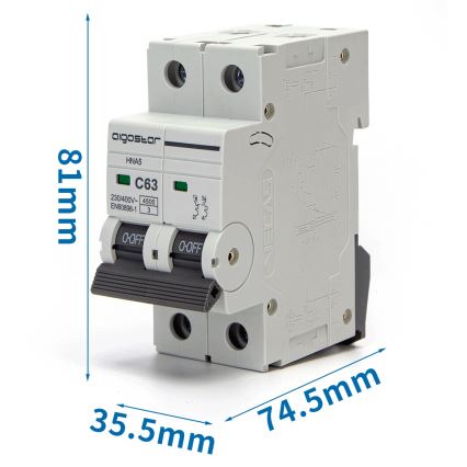 Aigostar - Interruttore magnetotermico bipolare 2P-63A-C 230-400V