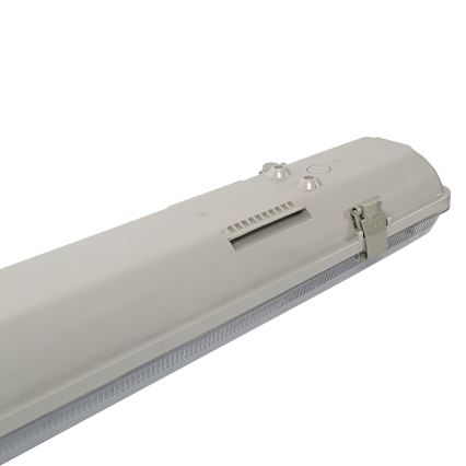 Aigostar - Lampada fluorescente tecnica T8 2xG13/20W/230V IP65