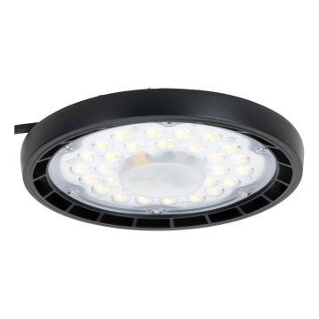 Aigostar - Lampada LED da esterno MESH LED/150W/230V 4000K IP65