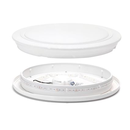 Aigostar - Lampada da bagno dimmerabile LED RGBW LED/27W/230V 40 cm Wi-Fi IP44