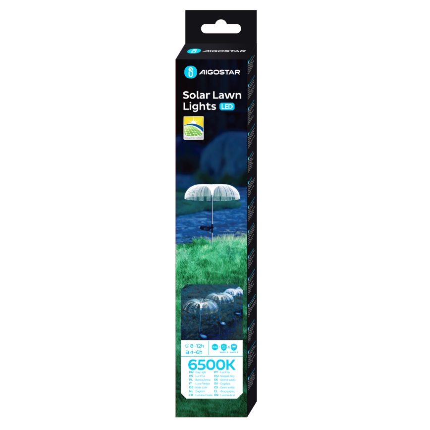 Aigostar - Lampada solare LED decorativa LED/0,03W/1,2V 70cm 300 mAh 6500K IP44