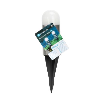 Aigostar - Lampada solare LED LED/0,006W/1,2V 20cm cromo opaco 40 mAh 6500K IP44