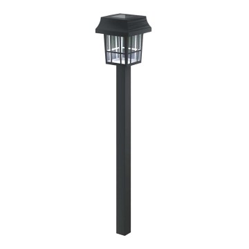 Aigostar - Lampada solare LED LED/0,006W/1,2V 32 cm 40 mAh nero 6500K IP44