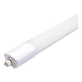 Aigostar - Lampada tecnica LED LED/18W/230V 6500K 60 cm IP65