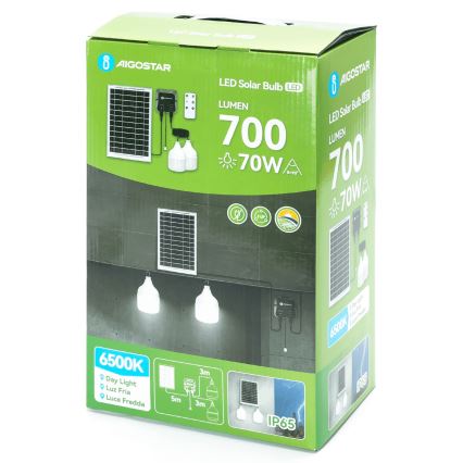 Aigostar - Lampadario solare LED 2x LED/35W/12V 6000 mAh 6500K IP65 Ø 10 cm + telecomando