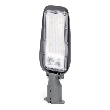Aigostar - Lampione stradale LED SLIM 50W/230V 6500K IP65