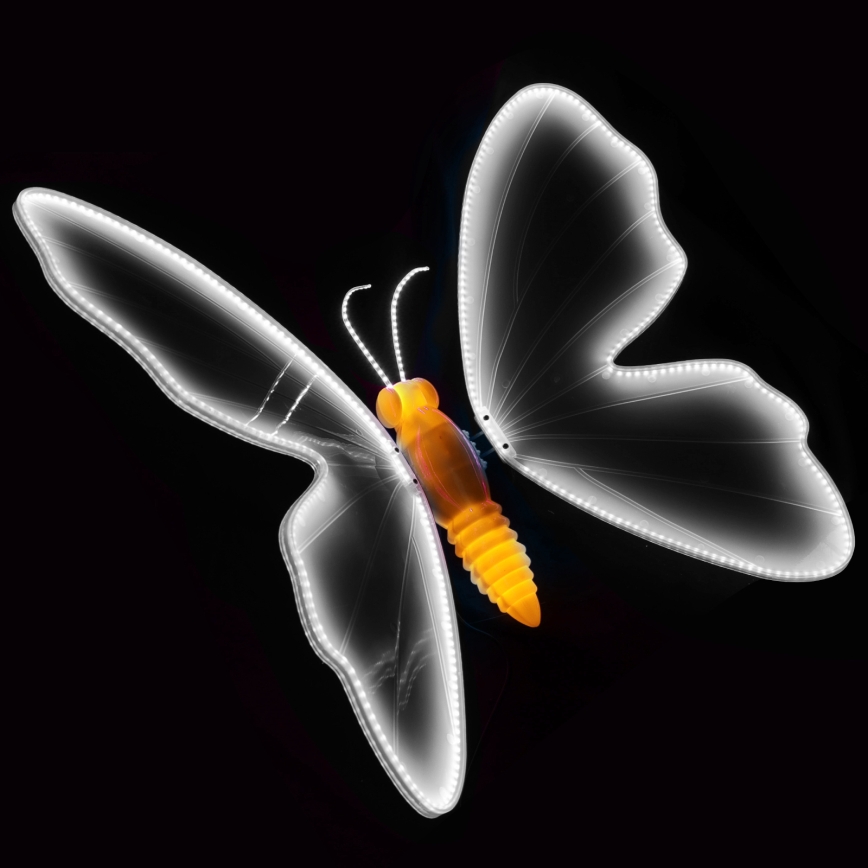 Aigostar - Decorazione LED per esterni 468xLED/18W/230V 75 cm IP44 farfalla/bianco freddo
