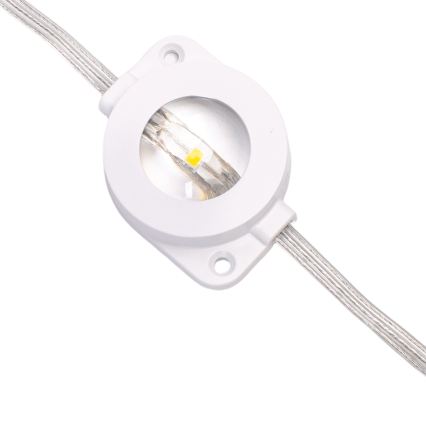 Aigostar - Catena luminosa natalizia LED dimmerabile per esterni 50xLED/8 funzioni 20m IP44 multicolore + telecomando