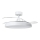Aigostar - LED Plafoniera dimmerabile con ventilatore MESH LED/50W/230V 2700-6500K nero + telecomando