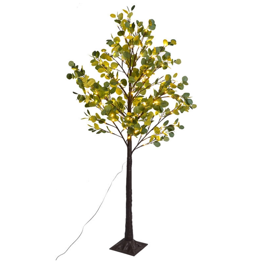 Aigostar - LED Solare decorazione 30xLED/2,6m IP65 bianco caldo eucalipto