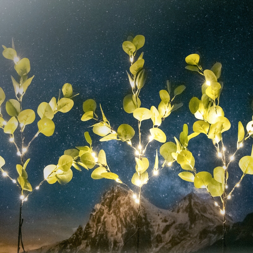 Aigostar - LED Solare decorazione 60xLED/3,5m IP65 bianco caldo eucalipto
