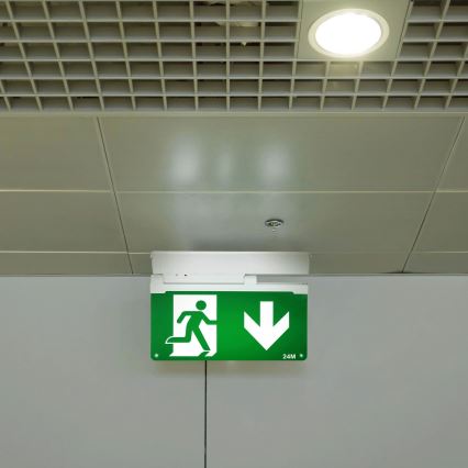 Aigostar - Luce di emergenza a LED EMERGENCY EXIT LED/3,6W/230V 6500K 500mAh