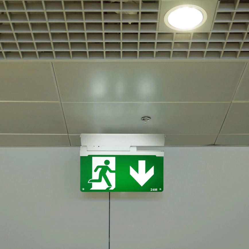 Aigostar - Luce di emergenza a LED EMERGENCY EXIT LED/3,6W/230V 6500K 500mAh