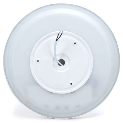 Aigostar - Plafoniera dimmerabile RGBW MESH LED/24W/230V 3000-6500K bianco + telecomando