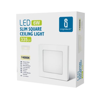 Aigostar - Plafoniera LED a superficie, 6W, 230V, 4000K, 12,2x12,2 cm, bianca