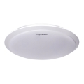 Aigostar - Plafoniera LED LED/18W/230V 4000K bianco