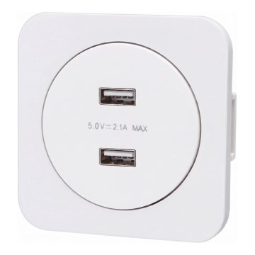 Aigostar - Presa di alimentazione USB con placca, 2 porte USB-A, bianca
