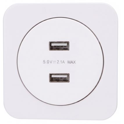 Aigostar - Presa di alimentazione USB con placca, 2 porte USB-A, bianca