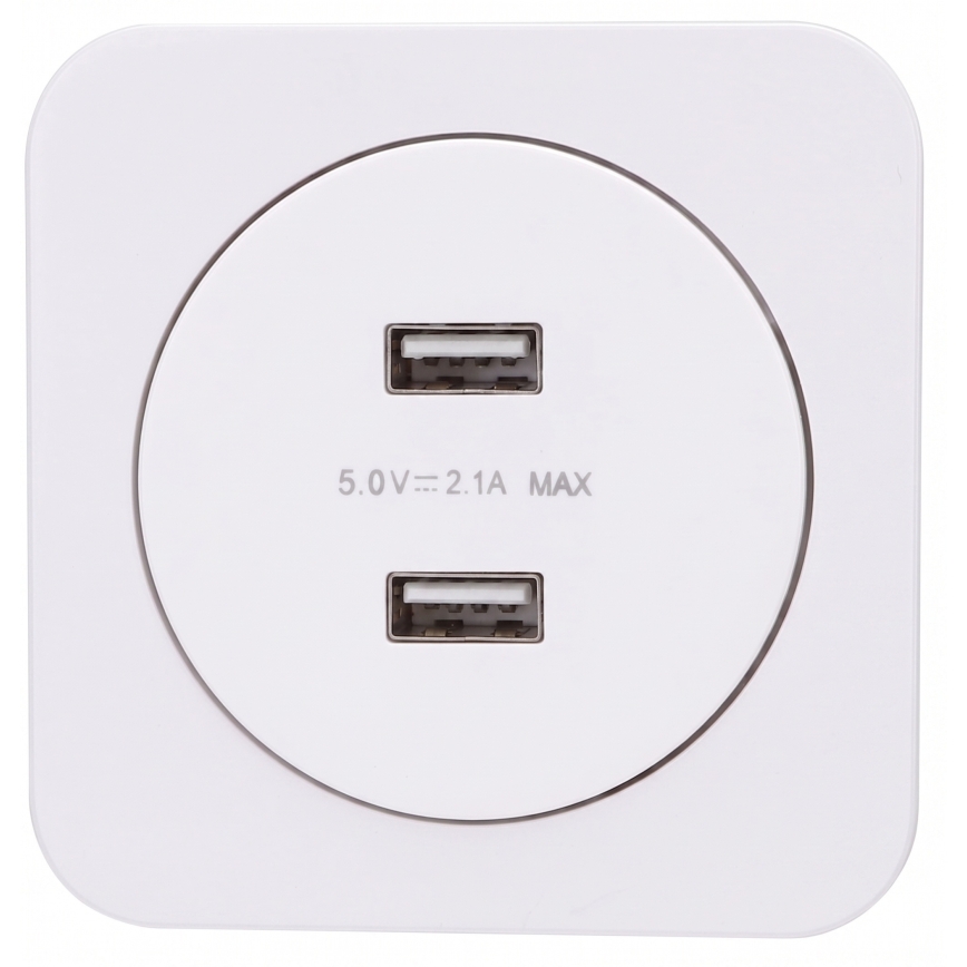 Aigostar - Presa di alimentazione USB con placca, 2 porte USB-A, bianca
