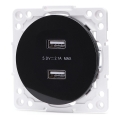 Aigostar - Presa di alimentazione USB senza cornice, 2x USB-A, nera