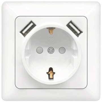 Aigostar - Presa domestica SCHUKO 250V + 2x USB con placca bianca