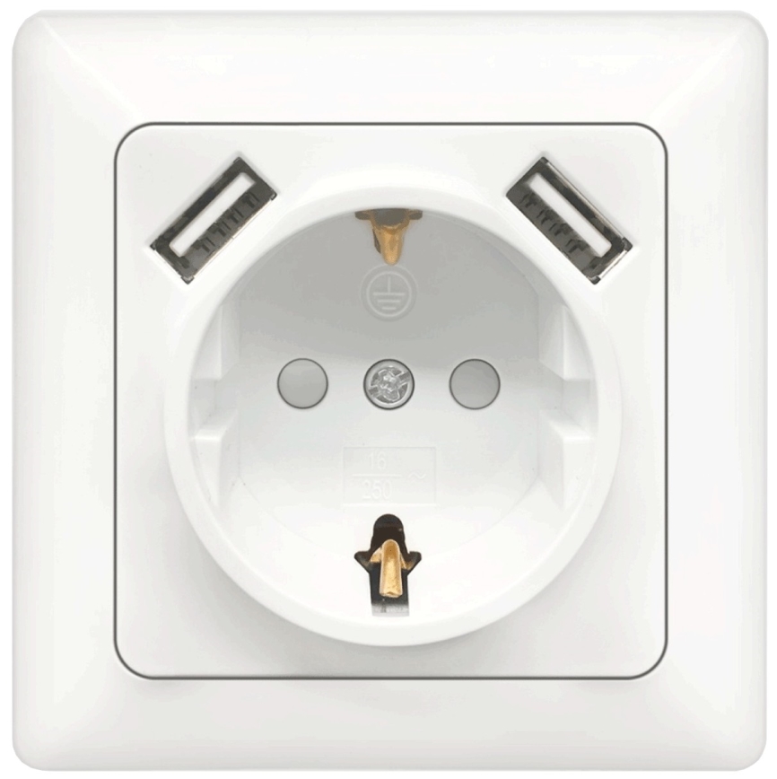 Aigostar - Presa domestica SCHUKO 250V + 2x USB con placca bianca