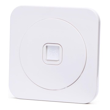 Aigostar - Presa telefonica con placca bianca