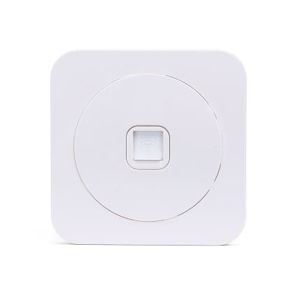 Aigostar - Presa telefonica con placca bianca