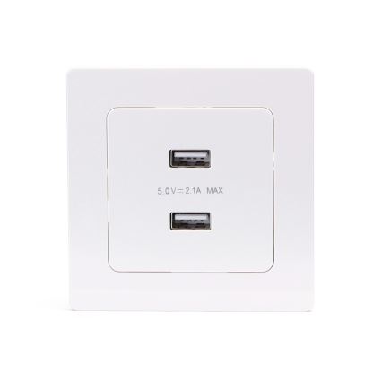 Aigostar - Presa USB da parete con cornice, 2 porte USB-A, bianca