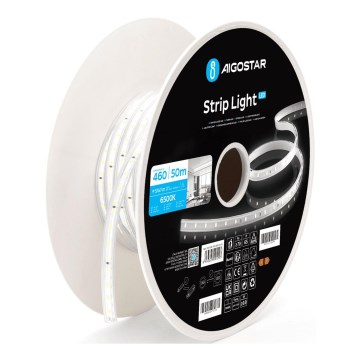 Aigostar - Striscia LED/250W/230V 50m 6500K IP65