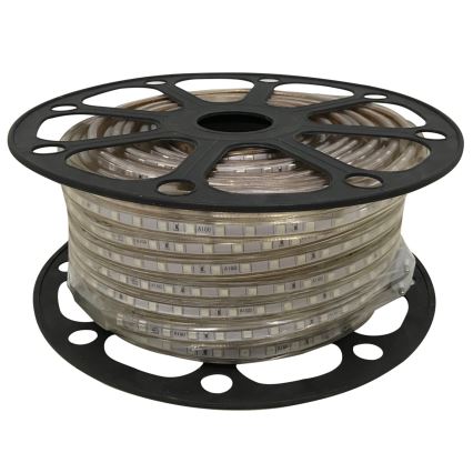 Aigostar - Striscia LED 50m LED/300W/230V IP65 verde